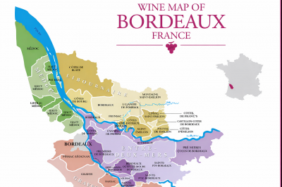 thumbnail - 기안84가 와인 들고 달린 ‘그곳’…와인 애호가의 로망, 메독을 향하다