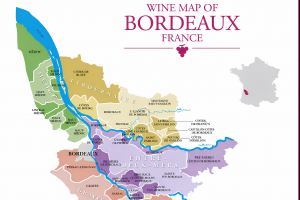 기사로 이동 - 기안84가 와인 들고 달린 ‘그곳’…와인 애호가의 로망, 메독을 향하다