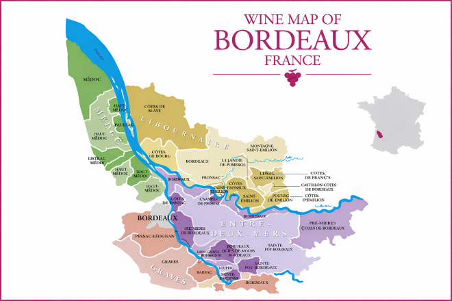 thumbnail - 기안84가 와인 들고 달린 ‘그곳’…와인 애호가의 로망, 메독을 향하다