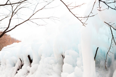 thumbnail - “돈 한 푼 안 든다”… 2월 지나면 사라질 한국판 ‘겨울왕국’