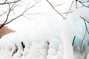 기사로 이동 - “돈 한 푼 안 든다”… 2월 지나면 사라질 한국판 ‘겨울왕국’