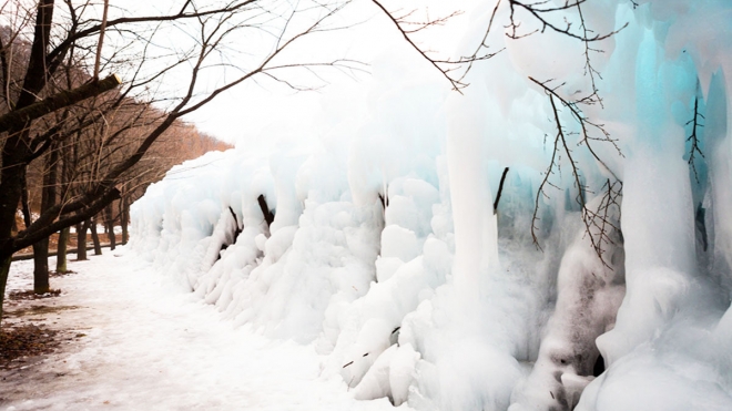 thumbnail - “돈 한 푼 안 든다”… 2월 지나면 사라질 한국판 ‘겨울왕국’