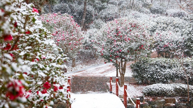 thumbnail - “눈 대신 붉은 비 내려요”… 1월 지금 떠나야 할 겨울왕국 ‘이곳’