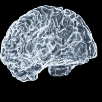 thumbnail - “치매일 수 있습니다”...최근 밝혀진 뇌가 보내는 위험한 ‘2가지’ 신호