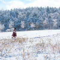 thumbnail - “축구장 6개 크기에 호랑이가 어슬렁”… 1월에 꼭 가봐야 할 ‘이곳’