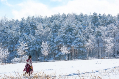 thumbnail - “축구장 6개 크기에 호랑이가 어슬렁”… 1월에 꼭 가봐야 할 ‘이곳’