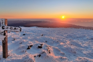 기사로 이동 - “설산의 절정” 1월 제주 한라산 등반 가이드…초보도 가능한 코스는?