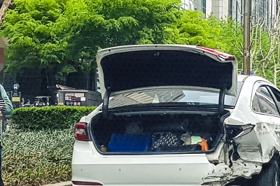 thumbnail - “가만히 있다 날벼락 맞았다”… 다가오는 2월, 차주들 ‘비상’