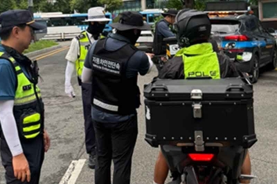 thumbnail - “갑자기 툭 튀어나와 쾅”… 운전자 떨게 한 ‘이것’ 2시간 만에 322건 적발