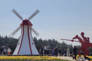 기사로 이동 - “네덜란드 온 줄 알았네”… 1700억 다리 뚫리자 ‘반전’ 터진 이곳