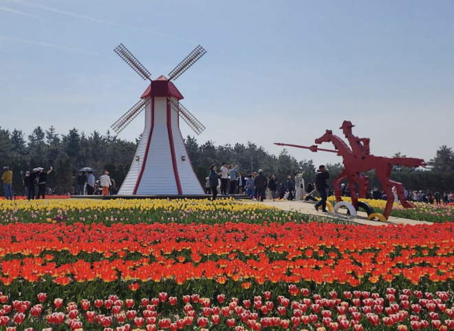 thumbnail - “네덜란드 온 줄 알았네”… 1700억 다리 뚫리자 ‘반전’ 터진 이곳