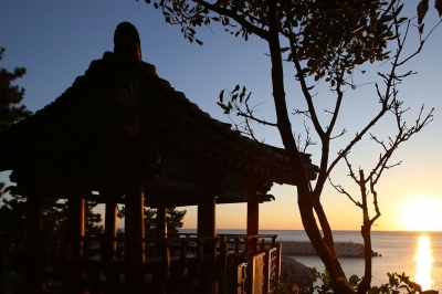 thumbnail - “해변 일출과 차원이 다르다”… 절벽 위 100년 소나무 숲 ‘이곳’