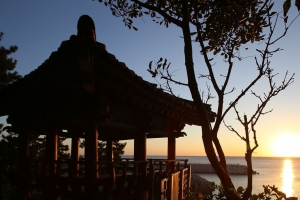 기사로 이동 - “해변 일출과 차원이 다르다”… 절벽 위 100년 소나무 숲 ‘이곳’