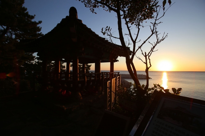 thumbnail - “해변 일출과 차원이 다르다”… 절벽 위 100년 소나무 숲 ‘이곳’