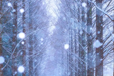 thumbnail - 삿포로 부럽지 않네... 단돈 2천원에 펼쳐지는 ‘겨울왕국’ 바로 여기