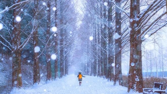 thumbnail - 삿포로 부럽지 않네... 단돈 2천원에 펼쳐지는 ‘겨울왕국’ 바로 여기
