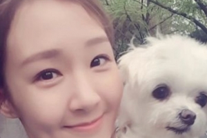 기사로 이동 - 만지니 아직 따뜻했는데… 16년 함께한 가족 보낸 방송인의 오열