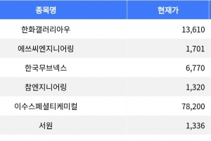 기사로 이동 - 한화갤러리아우 29.99% 상승, 장 마감 종목 현황 분석