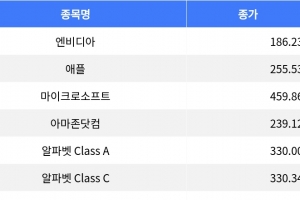 기사로 이동 - 엔비디아 하락, 브로드컴 상승…나스닥 100 혼조세