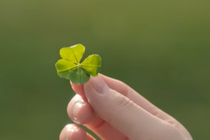 기사로 이동 - 역시 홍자매는 달랐다… 1월 넷플릭스 뒤집어 놓은 바로 ‘이 드라마’