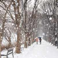 thumbnail - 서울 1시간 거리에 이런 곳이?… 주말 데이트 성지로 떠오른 ‘이 산책로’