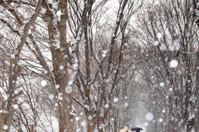 thumbnail - 서울 1시간 거리에 이런 곳이?… 주말 데이트 성지로 떠오른 ‘이 산책로’