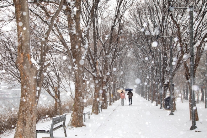 thumbnail - 서울 1시간 거리에 이런 곳이?… 주말 데이트 성지로 떠오른 ‘이 산책로’