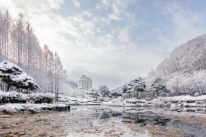 기사로 이동 - 주말마다 발 디딜 틈 없다더니… 서울서 1시간이면 도착하는 ‘겨울왕국’