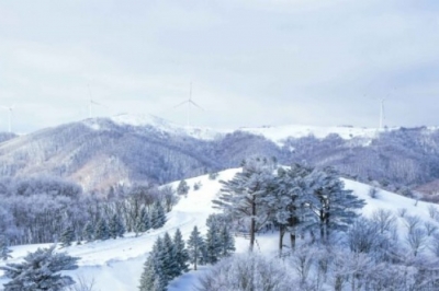 thumbnail - 온통 하얀 세상이 펼쳐지더니… 9천원으로 즐기는 겨울 절경 ‘여기’