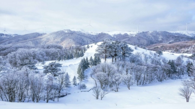 thumbnail - 온통 하얀 세상이 펼쳐지더니… 9천원으로 즐기는 겨울 절경 ‘여기’