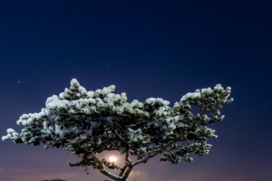 기사로 이동 - 경춘선 타고 한시간이면 도착… 한국 최초로 사람 이름 딴 ‘이 기차역’의 겨울 낭만