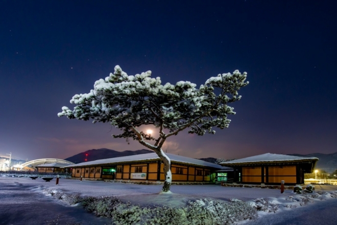 thumbnail - 경춘선 타고 한시간이면 도착… 한국 최초로 사람 이름 딴 ‘이 기차역’의 겨울 낭만