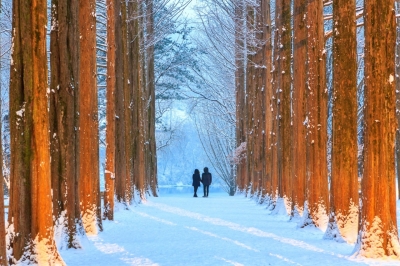 thumbnail - 가을 단풍은 잊어라… 눈 내리면 ‘딴 세상’ 되는 낭만 여행지