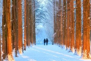 기사로 이동 - 가을 단풍은 잊어라… 눈 내리면 ‘딴 세상’ 되는 낭만 여행지