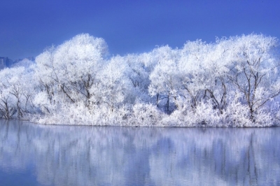 thumbnail - 강추위에도 사진작가들 새벽부터 몰리는 ‘이 곳’… 영하권에만 열리는 출사명소