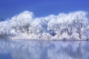 기사로 이동 - 강추위에도 사진작가들 새벽부터 몰리는 ‘이 곳’… 영하권에만 열리는 출사명소