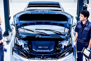 기사로 이동 - “한 번 사면 8년은 거뜬”… 국산차 긴장시킨 ‘이 브랜드’의 파격 선언