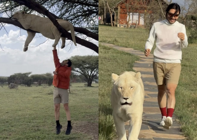 thumbnail - 목숨이 몇 개길래… 아프리카서 ‘맹수’와 산책 즐긴 방송인 정체