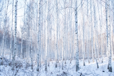 thumbnail - 눈 남아 있을 때가 최고… 2월에 가장 예쁜 ‘사진 명소’