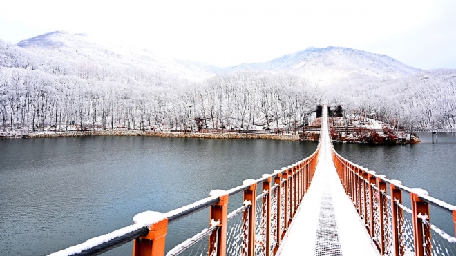 thumbnail - “예약도 입장료도 없다”… 2월에 즐기는 ‘무료’ 겨울 여행지