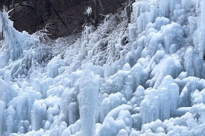 thumbnail - “산림청 평가 만점”… 전국 1위 ‘휴양림’이 입장료 무료에 1박 5만원 숙소까지