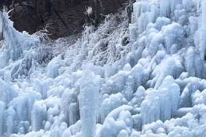 기사로 이동 - “산림청 평가 만점”… 전국 1위 ‘휴양림’이 입장료 무료에 1박 5만원 숙소까지