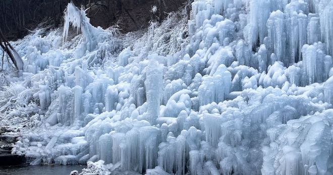 thumbnail - “산림청 평가 만점”… 전국 1위 ‘휴양림’이 입장료 무료에 1박 5만원 숙소까지