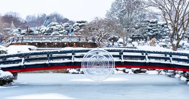 thumbnail - 추운 겨울에도 여긴 북적… 100마리 곰이 뛰노는 세종 명소