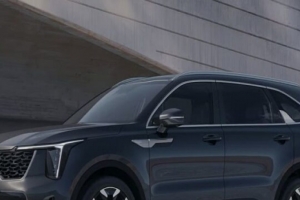 기사로 이동 - 아빠들의 선택은 결국 이거였나… 연 10만 대 팔린 국산 SUV