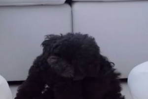 기사로 이동 - 대화 단절된 사춘기 딸… 신동엽의 ‘이 조언’ 한마디에 생긴 변화