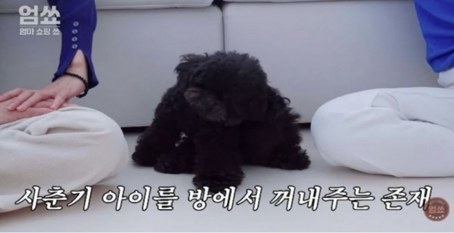 thumbnail - 대화 단절된 사춘기 딸… 신동엽의 ‘이 조언’ 한마디에 생긴 변화