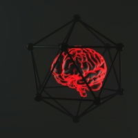 thumbnail - “폐경, 뇌까지 바꾼다”…전문가가 말하는 뇌 보호 전략