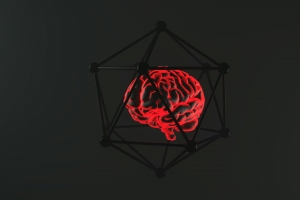 기사로 이동 - “폐경, 뇌까지 바꾼다”…전문가가 말하는 뇌 보호 전략