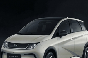 기사로 이동 - 보조금 줄었지만 더 싸졌다… 2300만원 ‘중국산 돌고래’의 역설